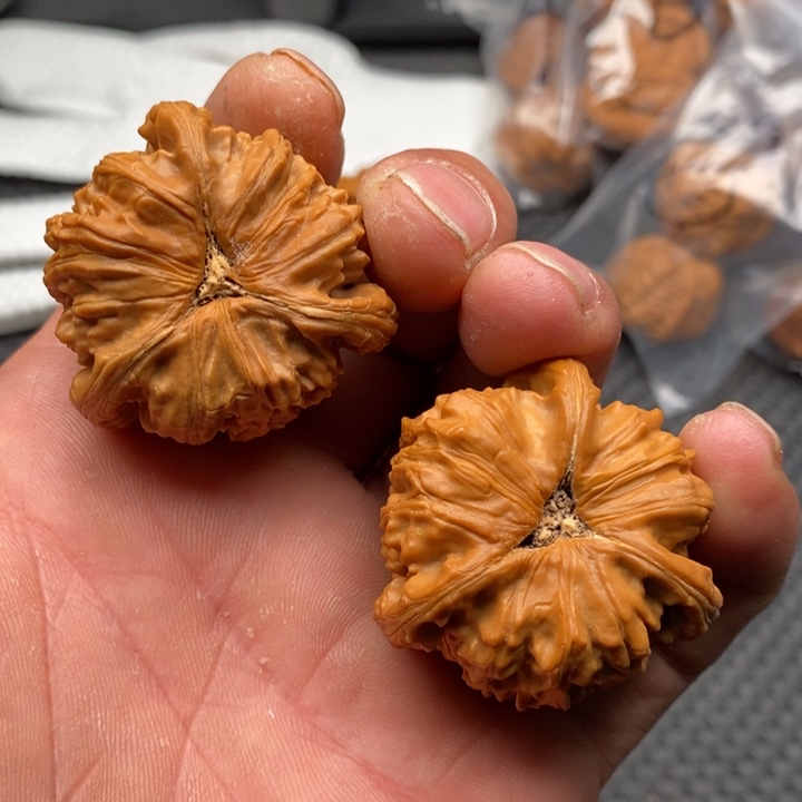 核桃把件悲****粉拼接白狮子18