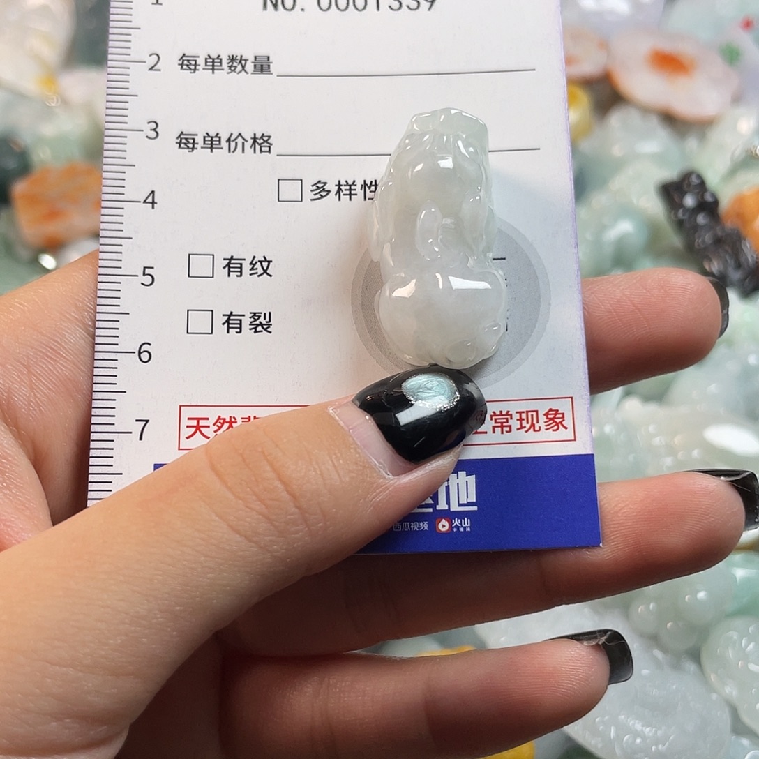 我***…翡翠未镶嵌颈饰1339