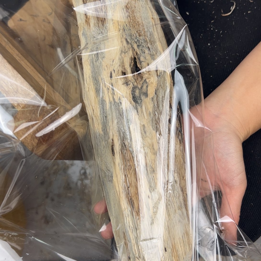 用***7沉香木沉香碎屑原木胚料