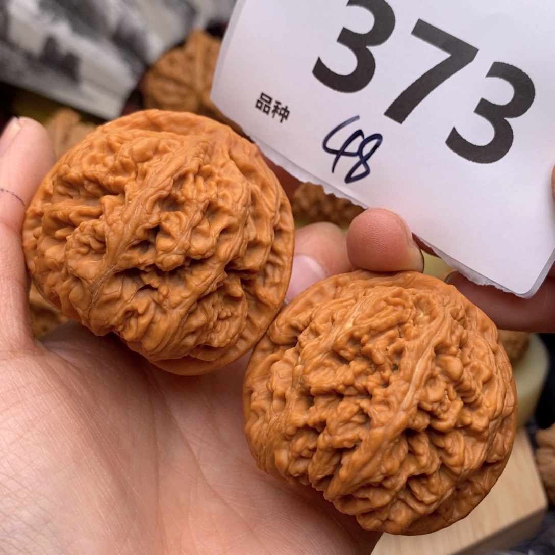 文玩核桃把件373号48粗筋