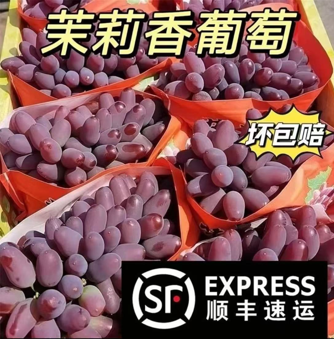 A精选大串【顺丰包邮】净果2斤3斤5斤云南高山茉莉花香葡萄现摘现发