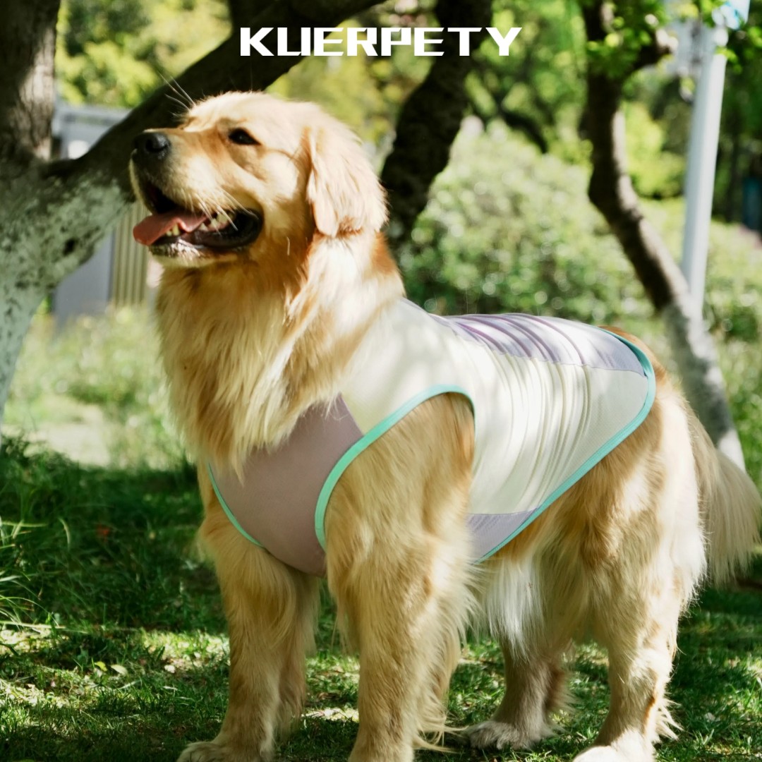 宠物冰丝凉凉衣断码清仓