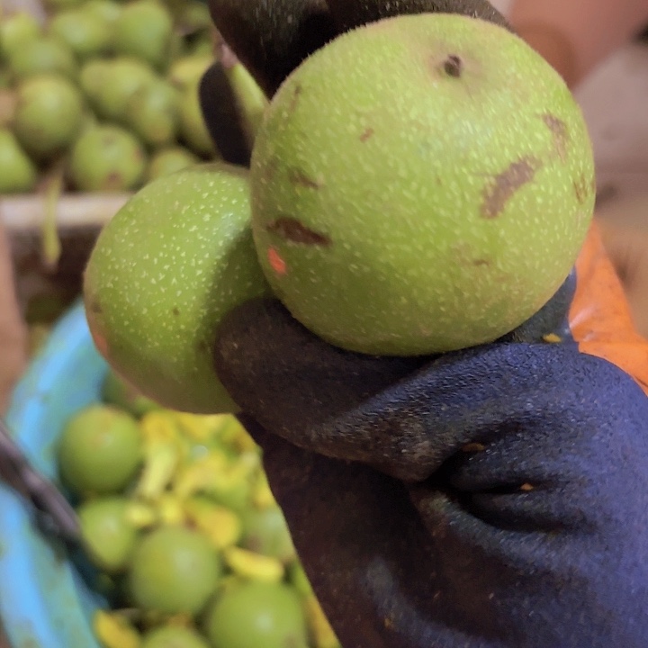 文玩核桃吊坠莹*盘山