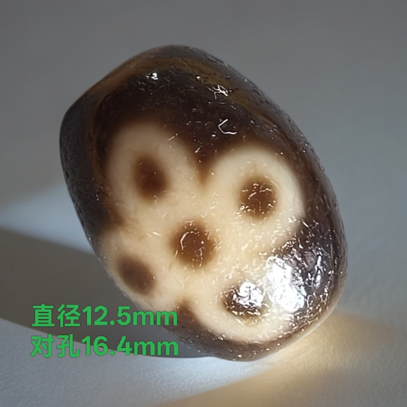 五眼闪电达洛高油老气佩珠单珠