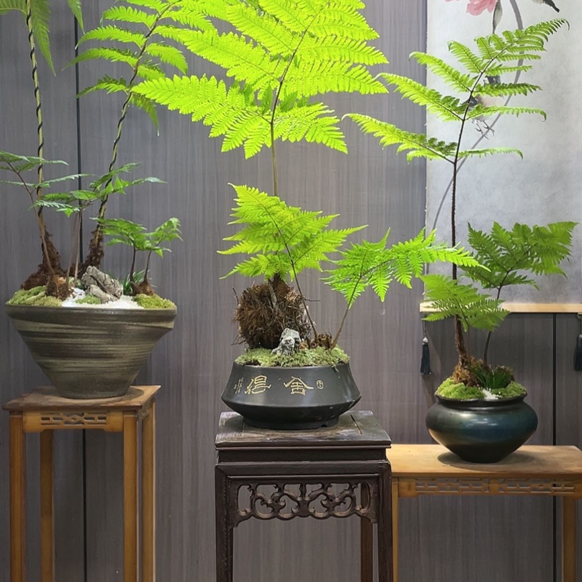 【闪购商品】用****7蕨