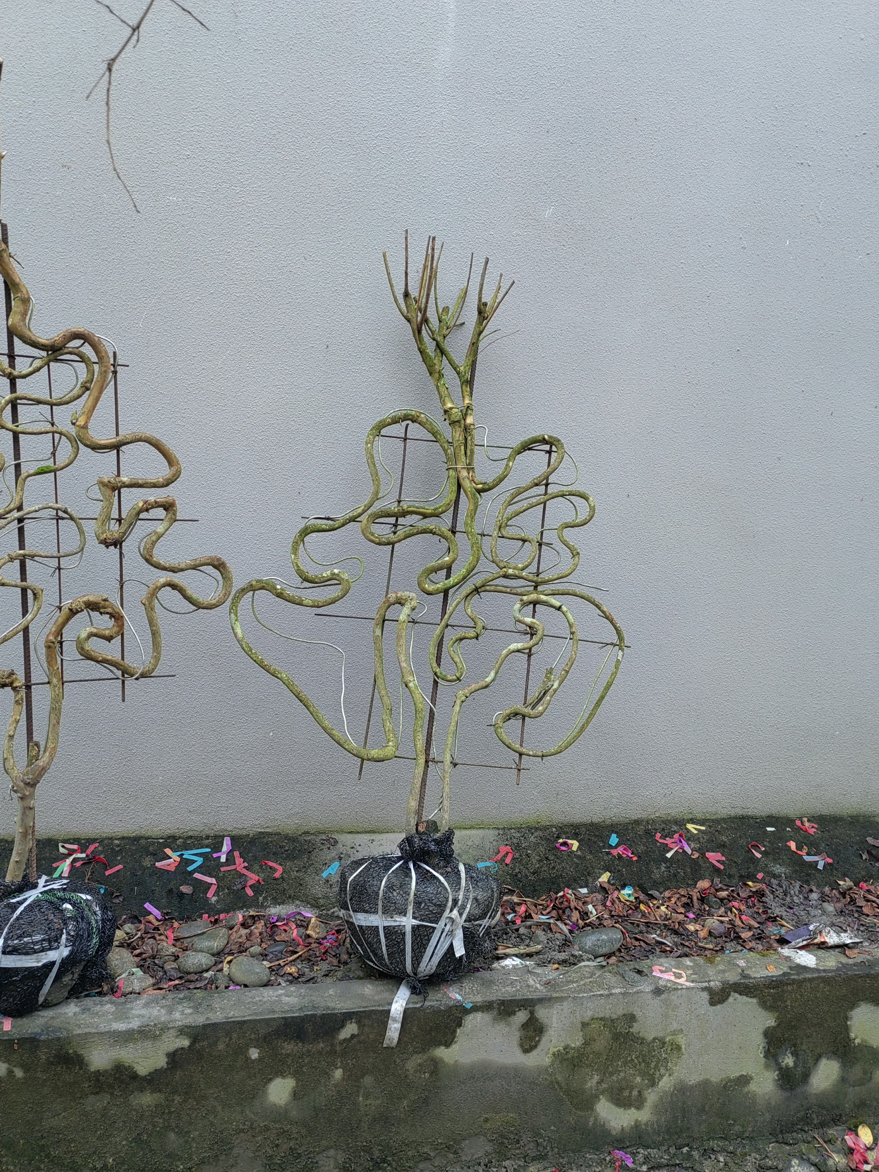 民俗哥专属紫薇活字体福禄寿喜財福独特设计商品