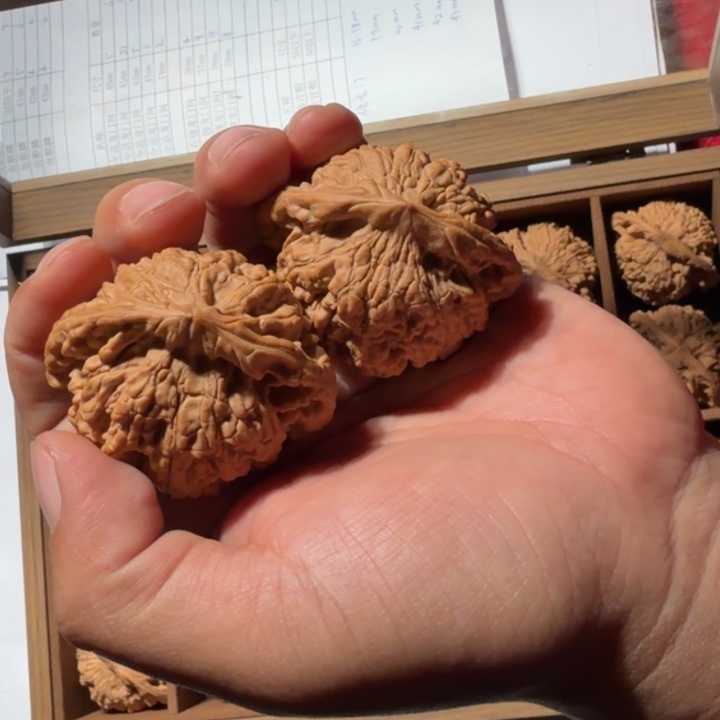 文玩核桃把件134号龙鼎官帽50mm以上