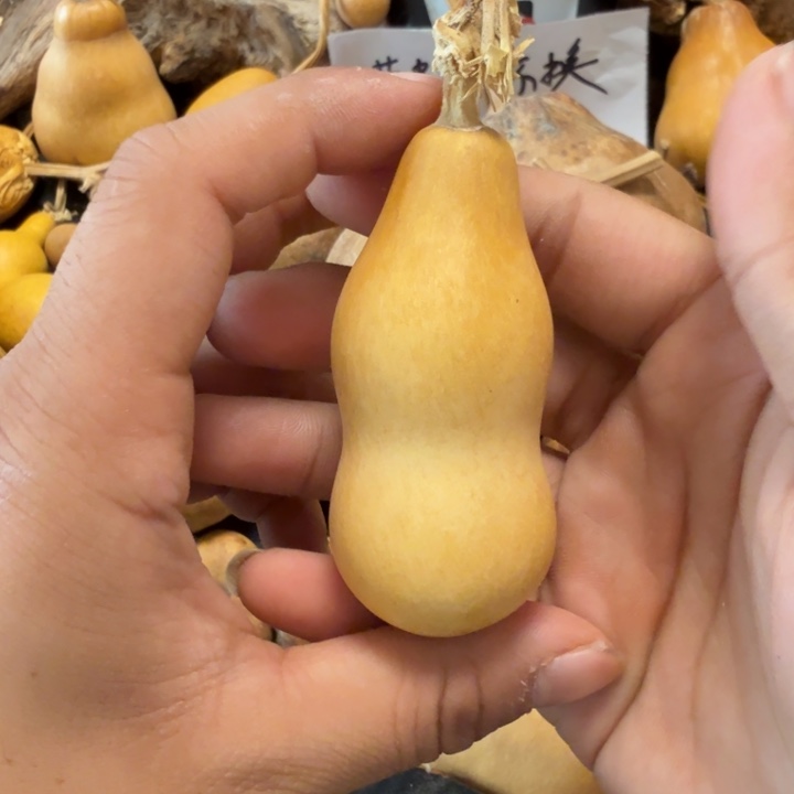 萌***萌88…………………………………………