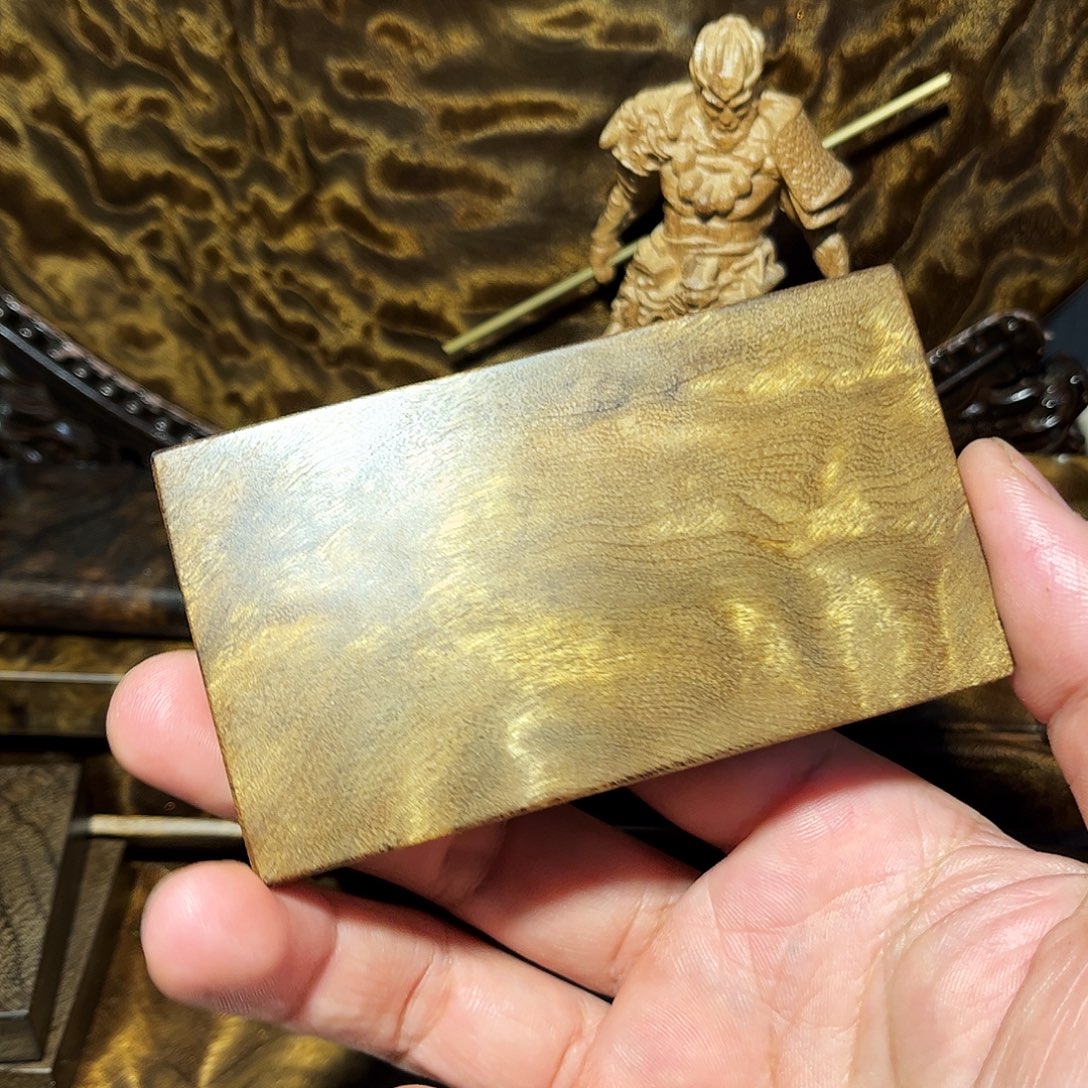 木乌木金丝楠小叶桢楠