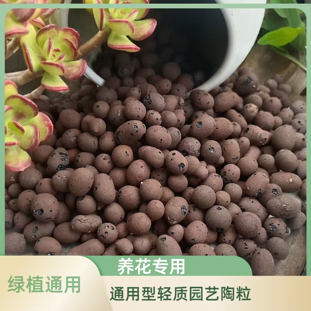 陶粒 多肉伴侣 5升装