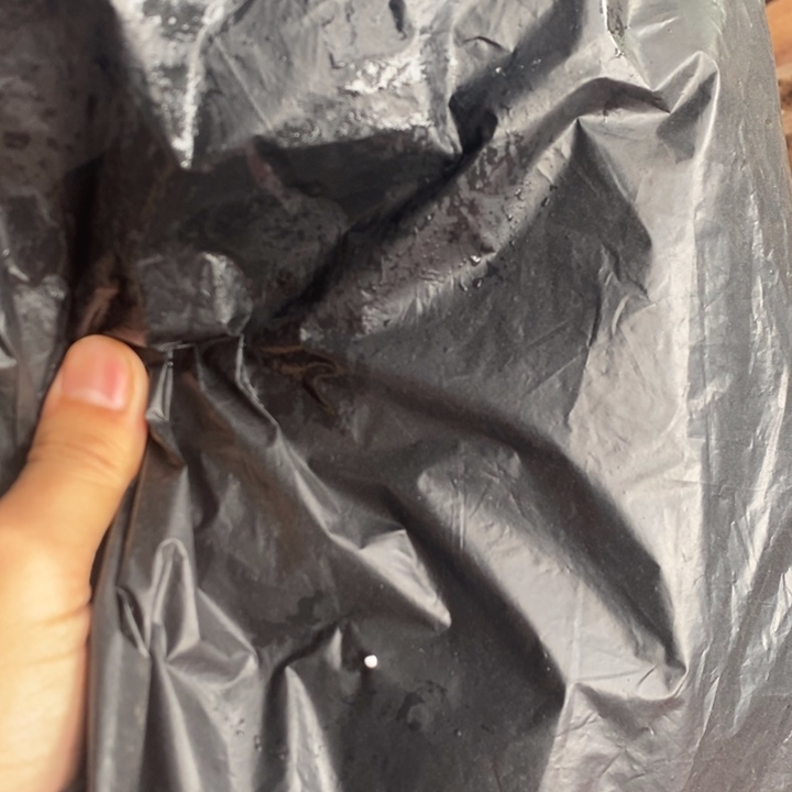 红酸枝木类哈哈我