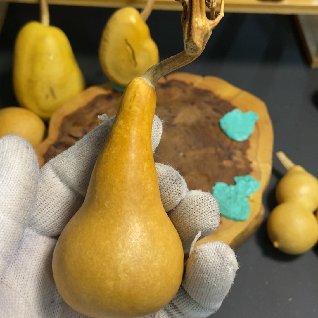 一***布葫芦葫芦真的