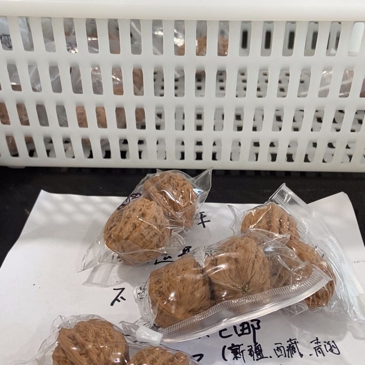 吊坠文玩核桃僧帽瑕疵