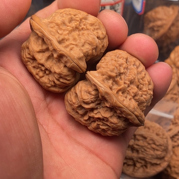 小***家把件文玩核桃凹底42