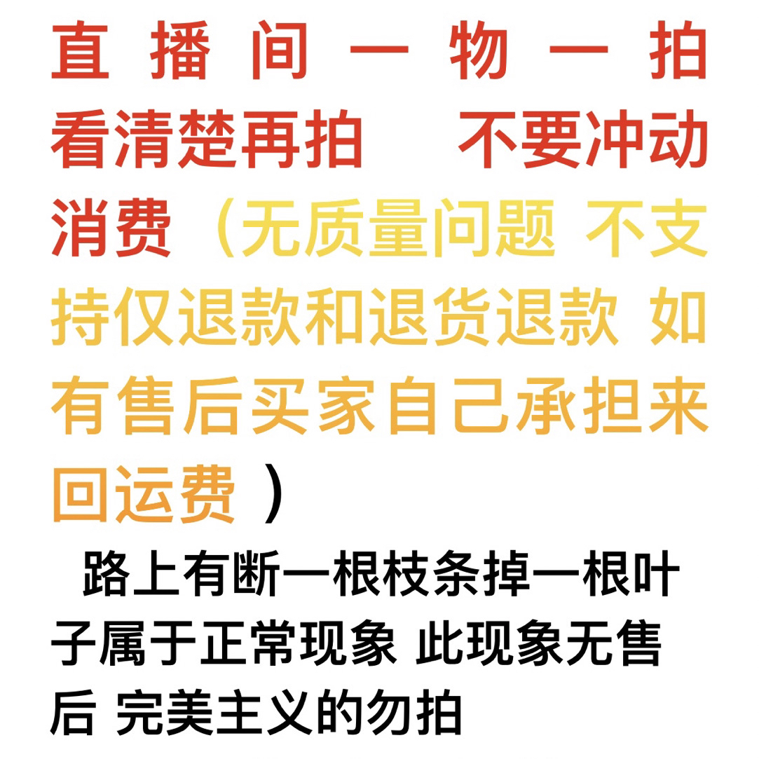 精品盆景请勿私拍