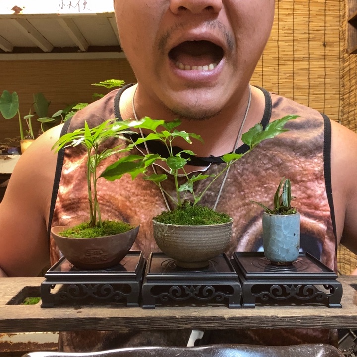 一物一拍所见即所得210