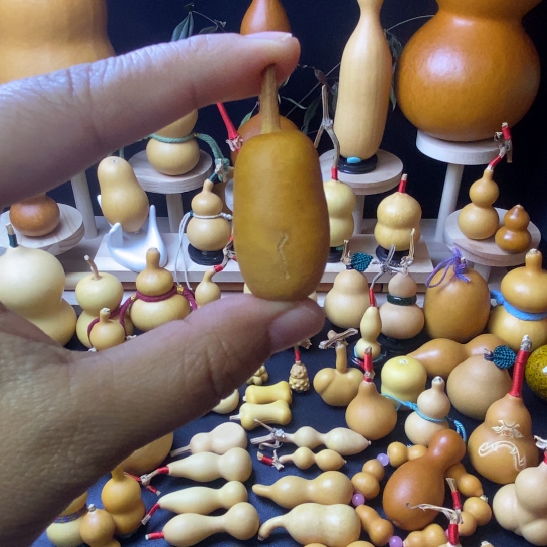 小***贝葫芦冬瓜草里金小葫芦