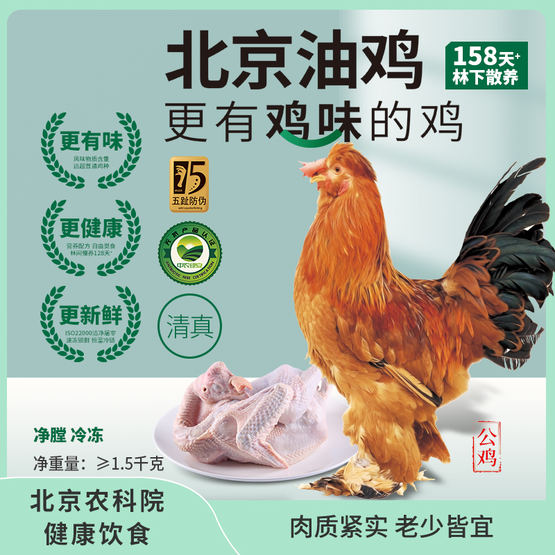 北京油鸡 林下散养158天+ 无抗清真 公鸡1.5kg 京东冷链 新鲜直达