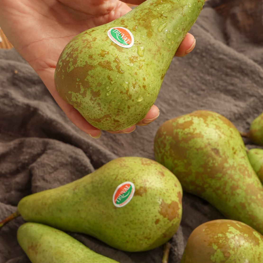 【V嘉精选】空运进口啤梨3个