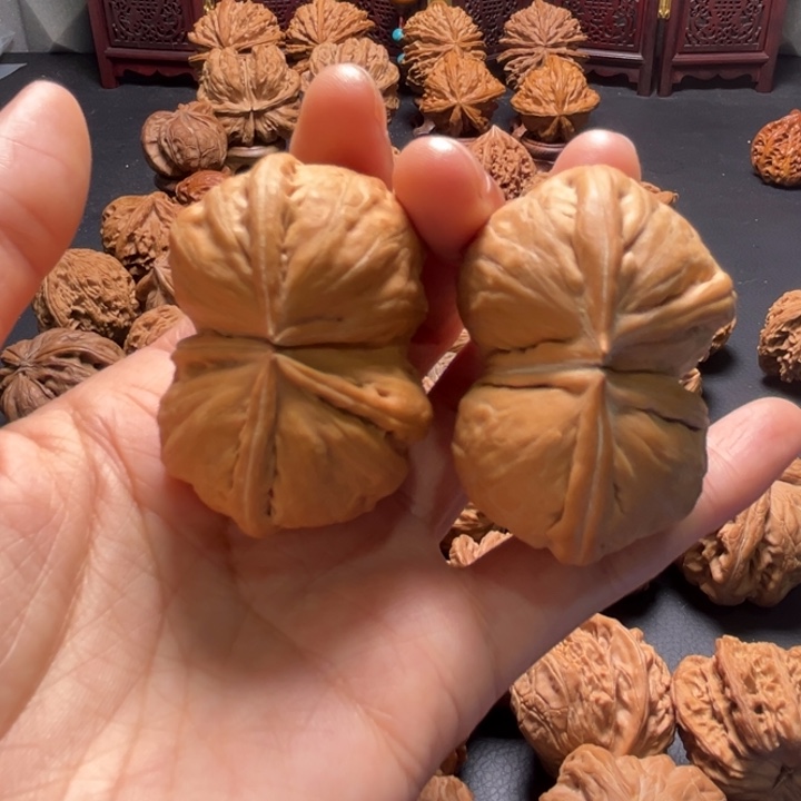 秋子五棱连体45尺寸核桃