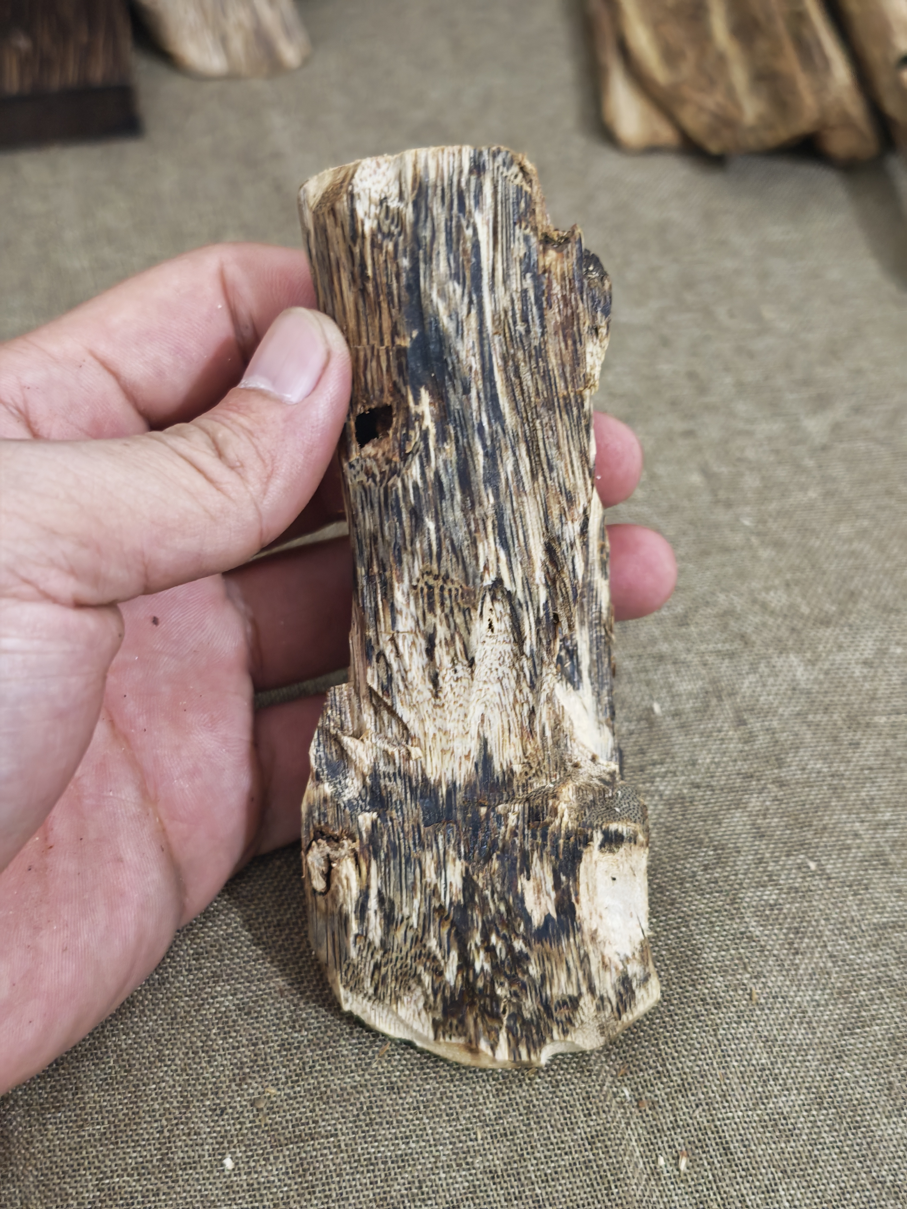 碎屑熏香上炉把玩高油脂（多样性发一）