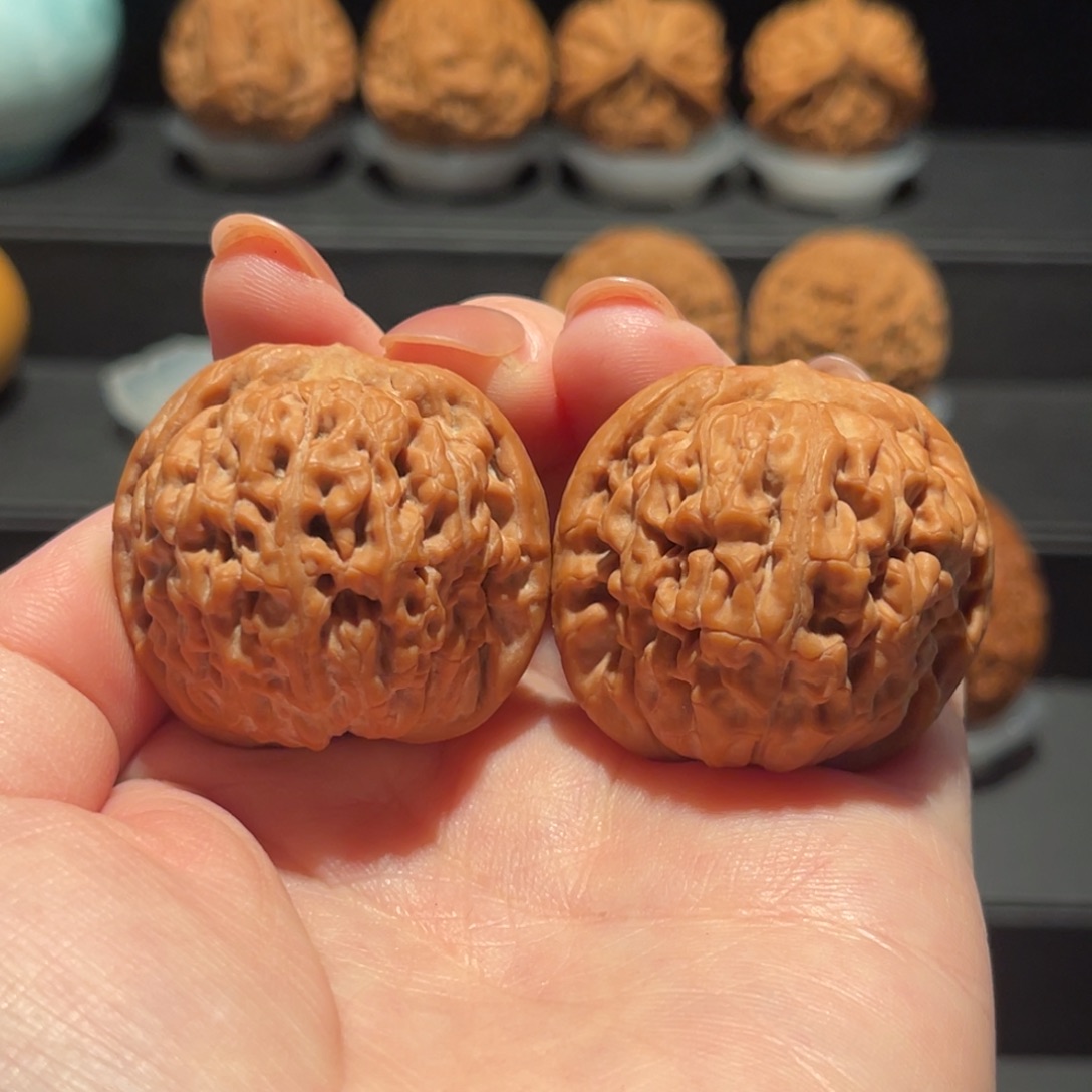 莲花37精品，全品，毕业