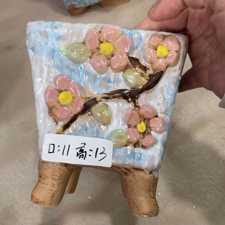 【闪购商品】红陶福利福利福利福利