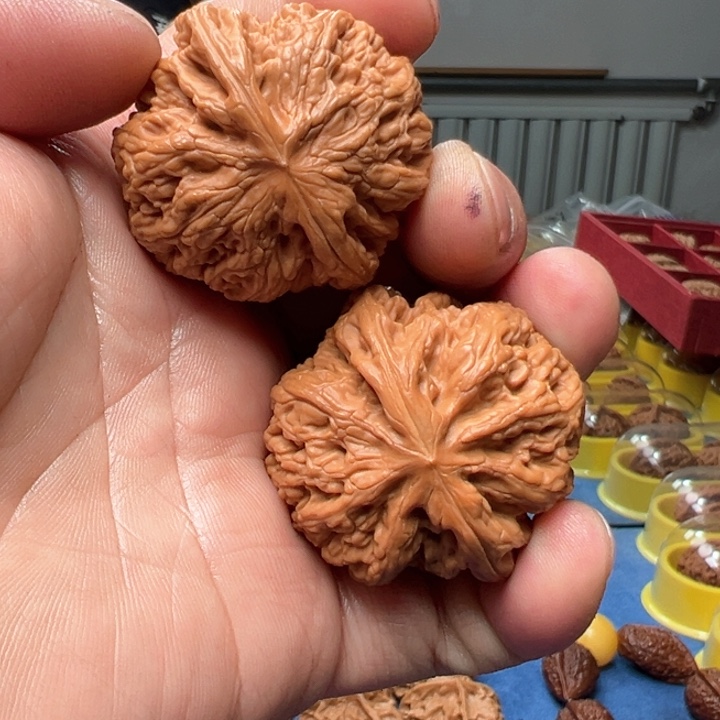 文玩核桃把件平谷粗筋