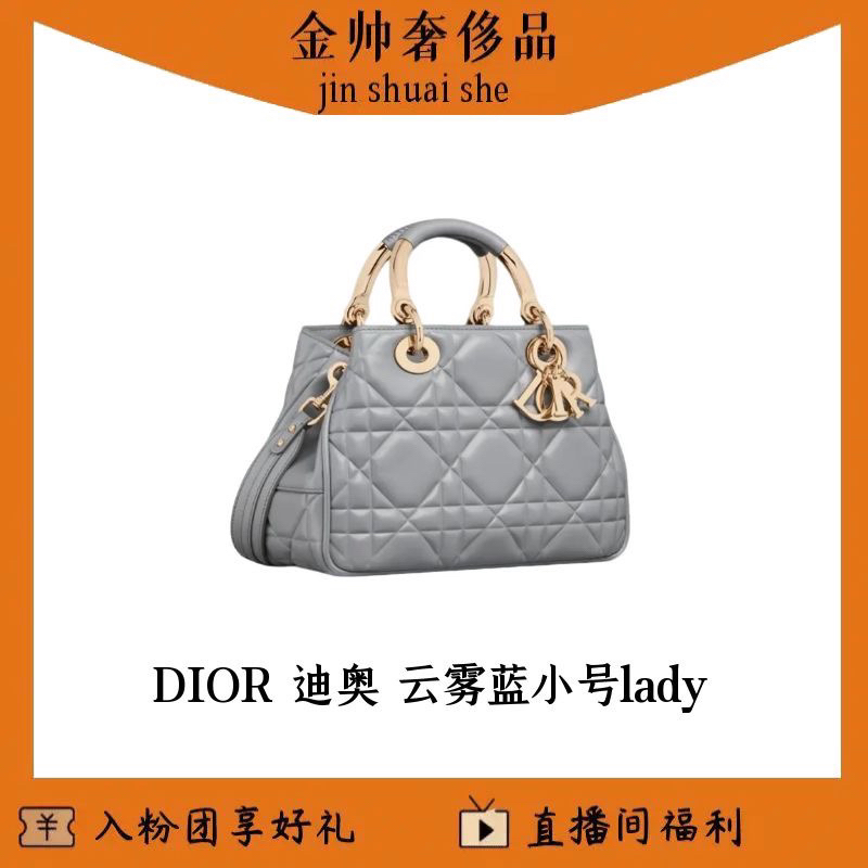 99新 DIOR/迪奥 云雾蓝/小号/lady戴妃/95.22/单肩包/B6020