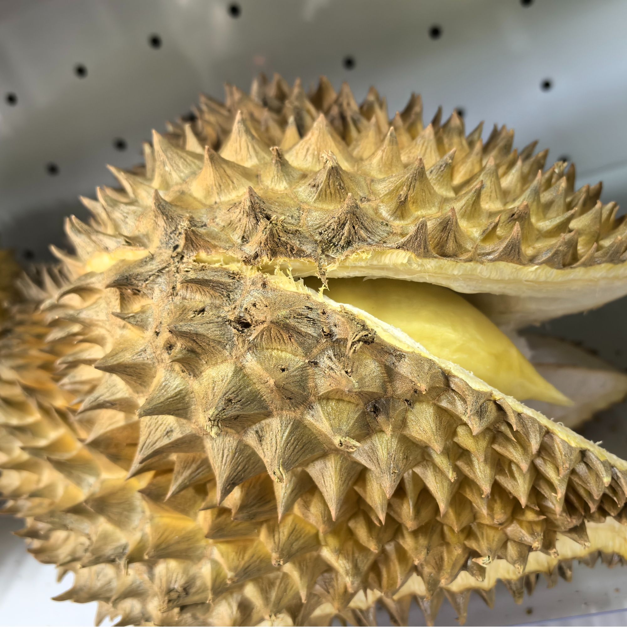 【湿包 介意慎拍】鲜榴莲18.8/斤泰国金枕 核小 保熟 鲜榴莲榴莲同城送金枕泰国