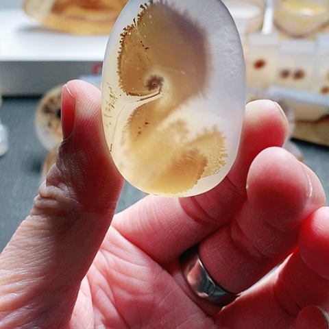 玛瑙/玉髓颈饰未镶嵌