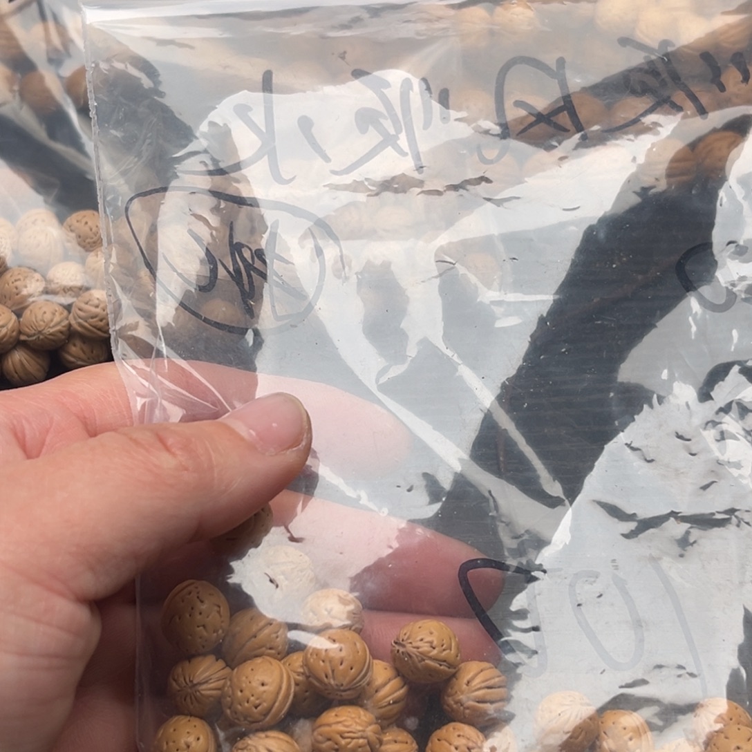 小***哥文玩核桃手串散籽发货30