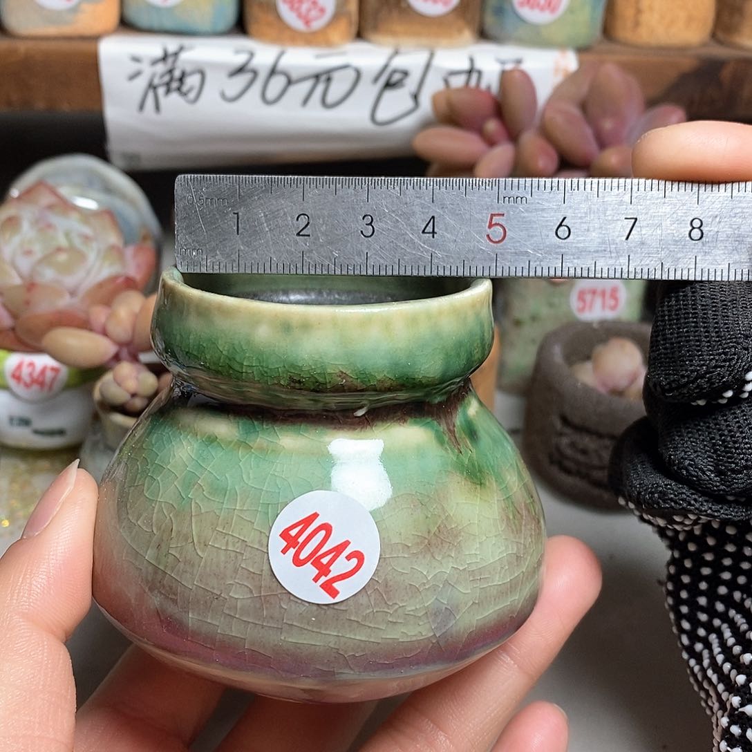 红陶拍5送一个小