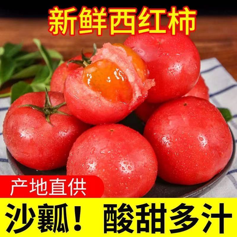 【产地直发】云南露天沙瓤西红柿应季水果蔬菜露天番茄酸甜多汁9