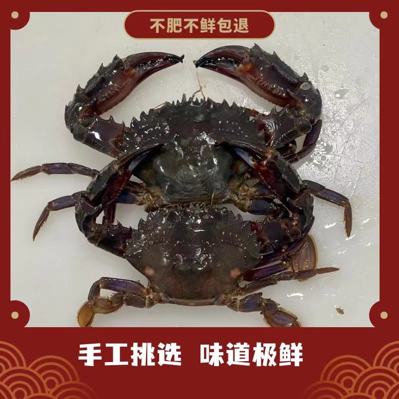大连本地赤甲红，鲜香肥甜，不包腿甲全只斤两，【保鲜不保活】E