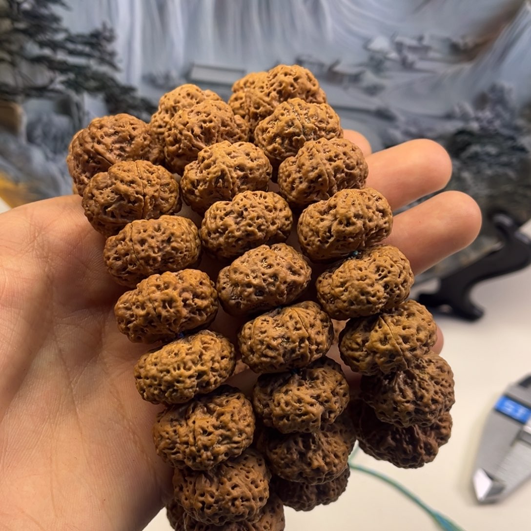 手串金刚菩提甲板21