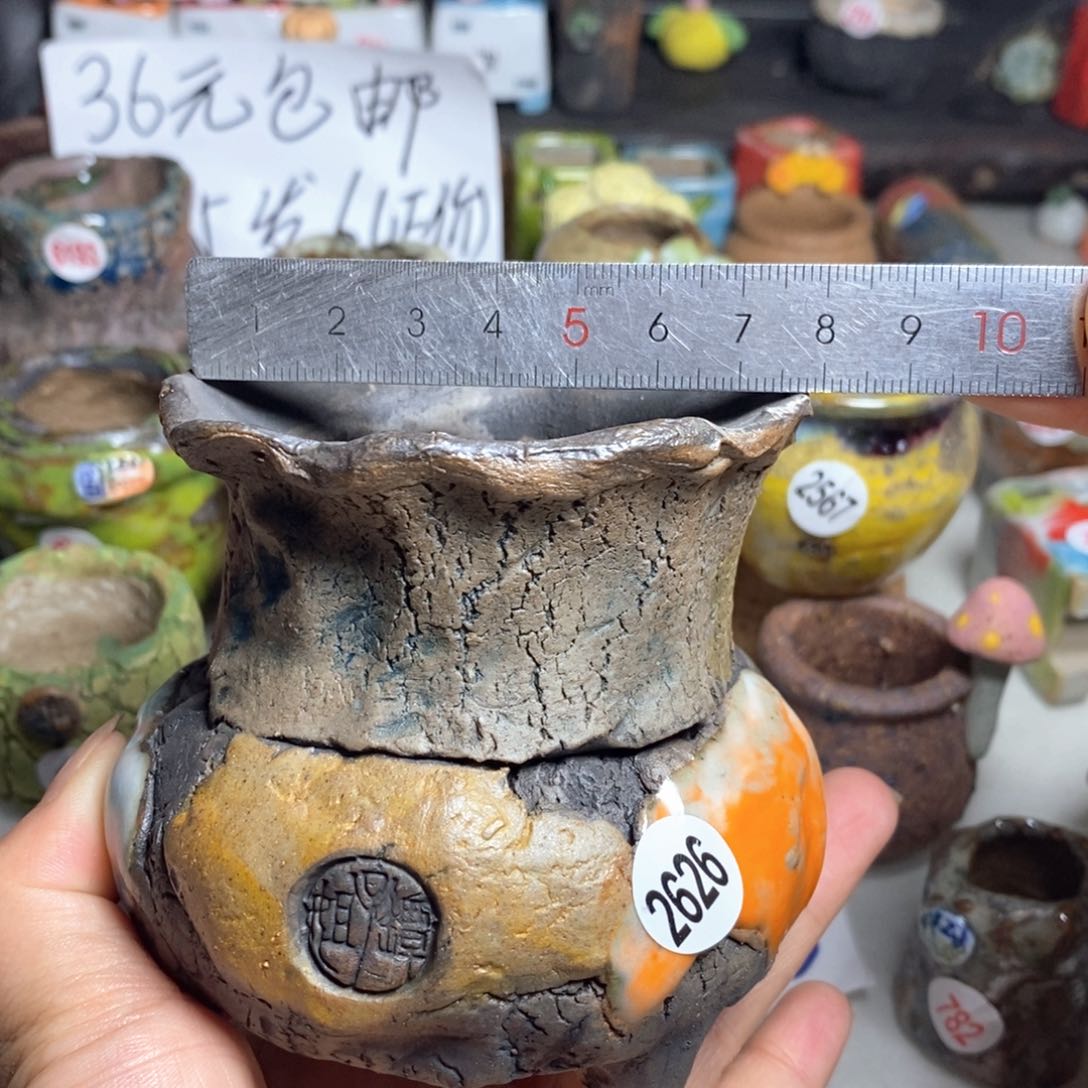 拍5送一个小礼物