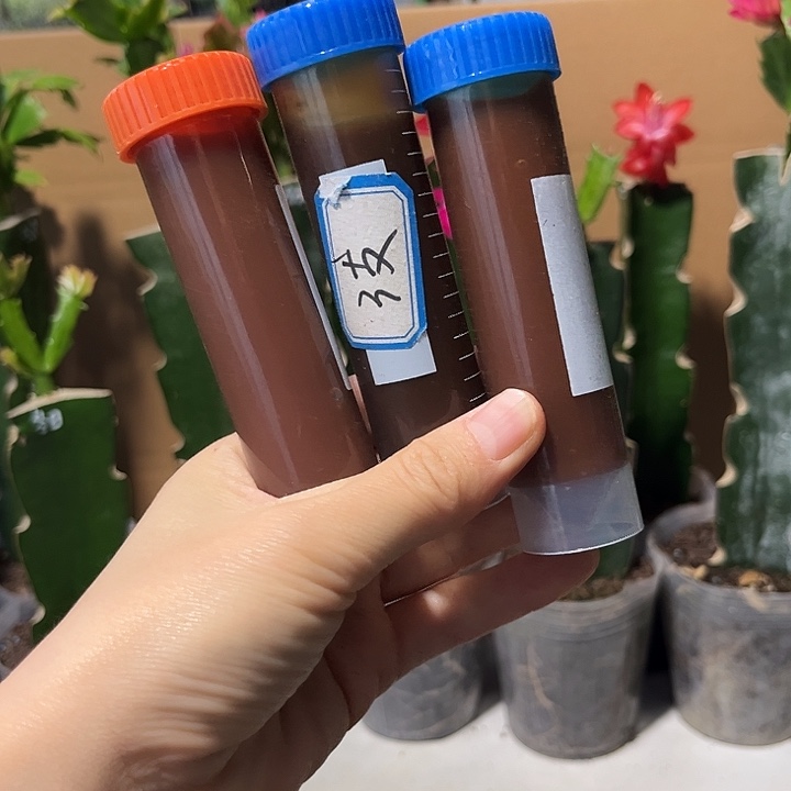 当前无花栽培后可以开花鱼蛋白三支