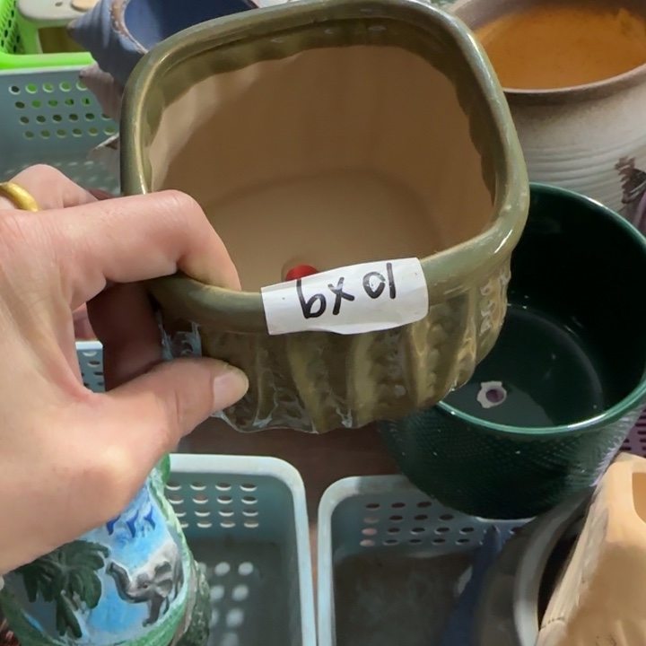 瑕疵品处理《所有单满15发（花盆）》10×9