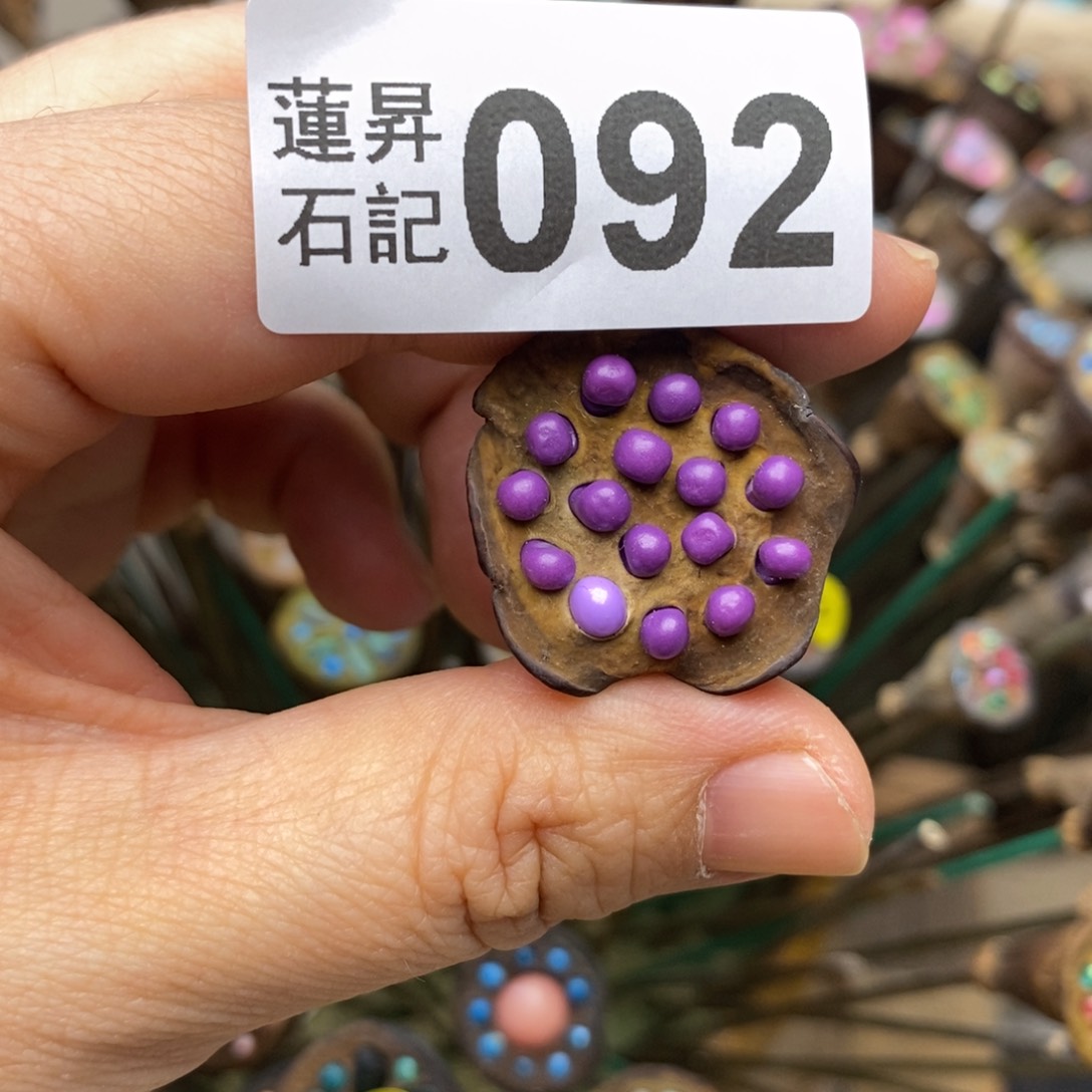 核桃木/黑胡桃（胡桃木）梦**见092