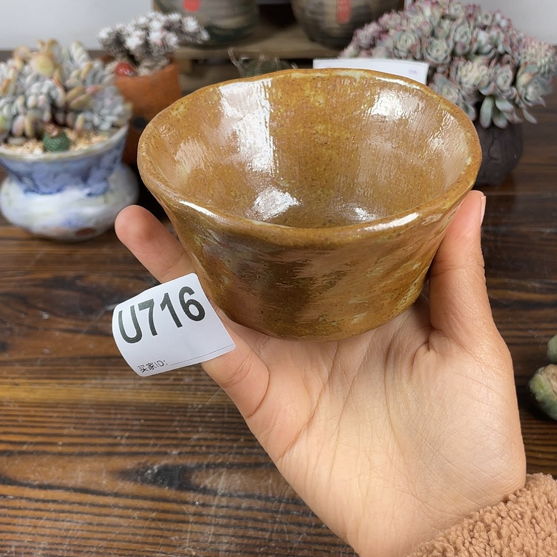 包***F坛子姐米饭碗哈哈哈哈哈哈