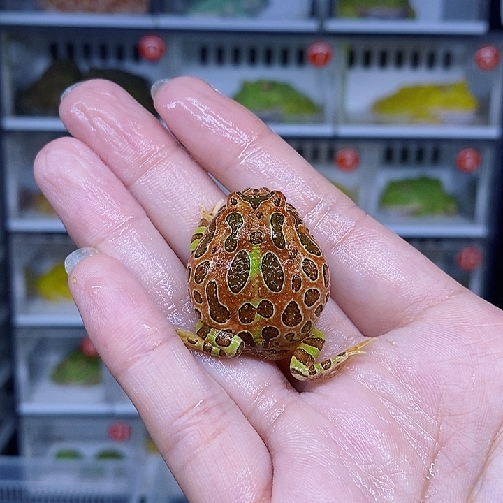 特价秒杀现货特价残