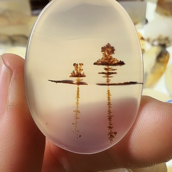 红***鱼玛瑙/玉髓未镶嵌珠宝半成品