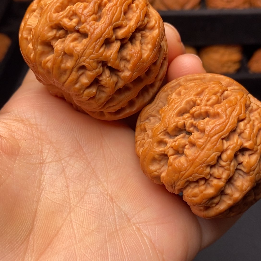 文玩核桃把件秦岭野生核桃