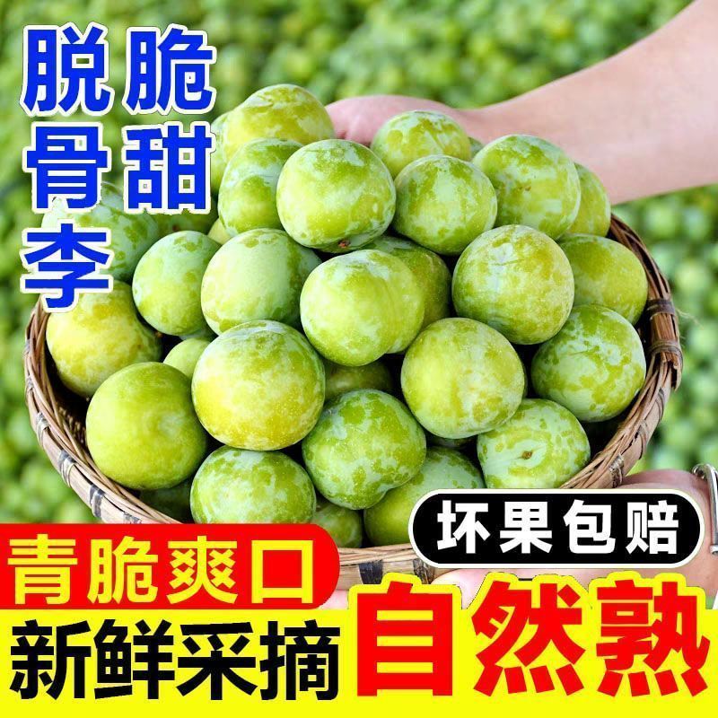 甜豆姐专属-现摘现发贵州高山李子空心李脱骨李