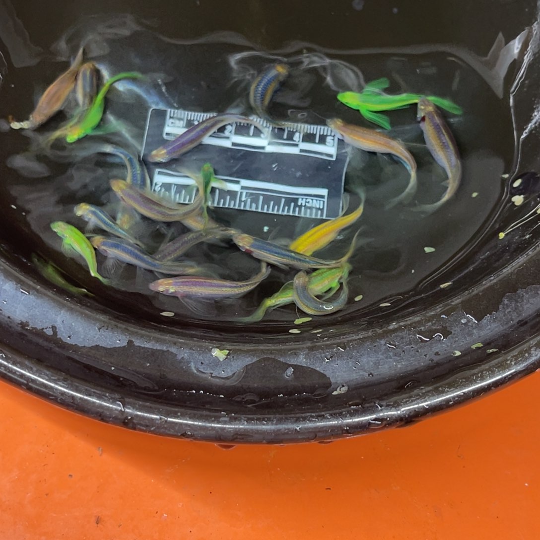 海水7号哈哈哈哈哈哈