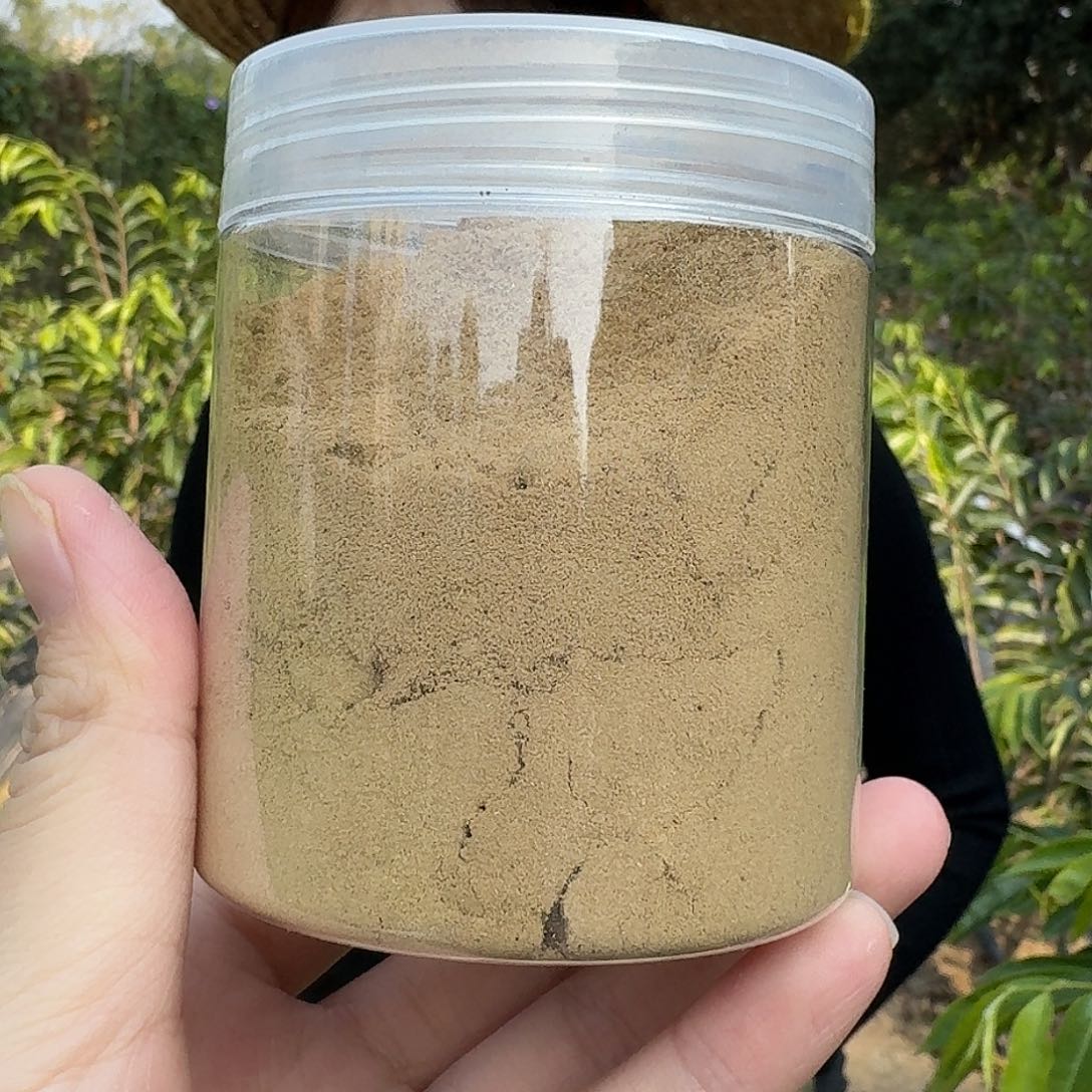 海南黄土熟结黄棋粉100克