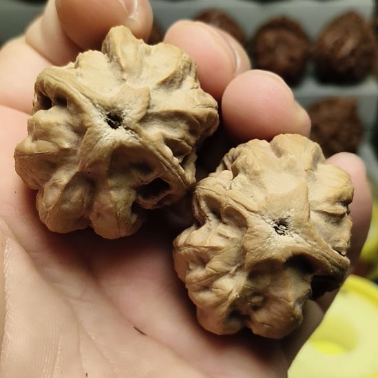 吊坠文玩核桃大楸核桃3号