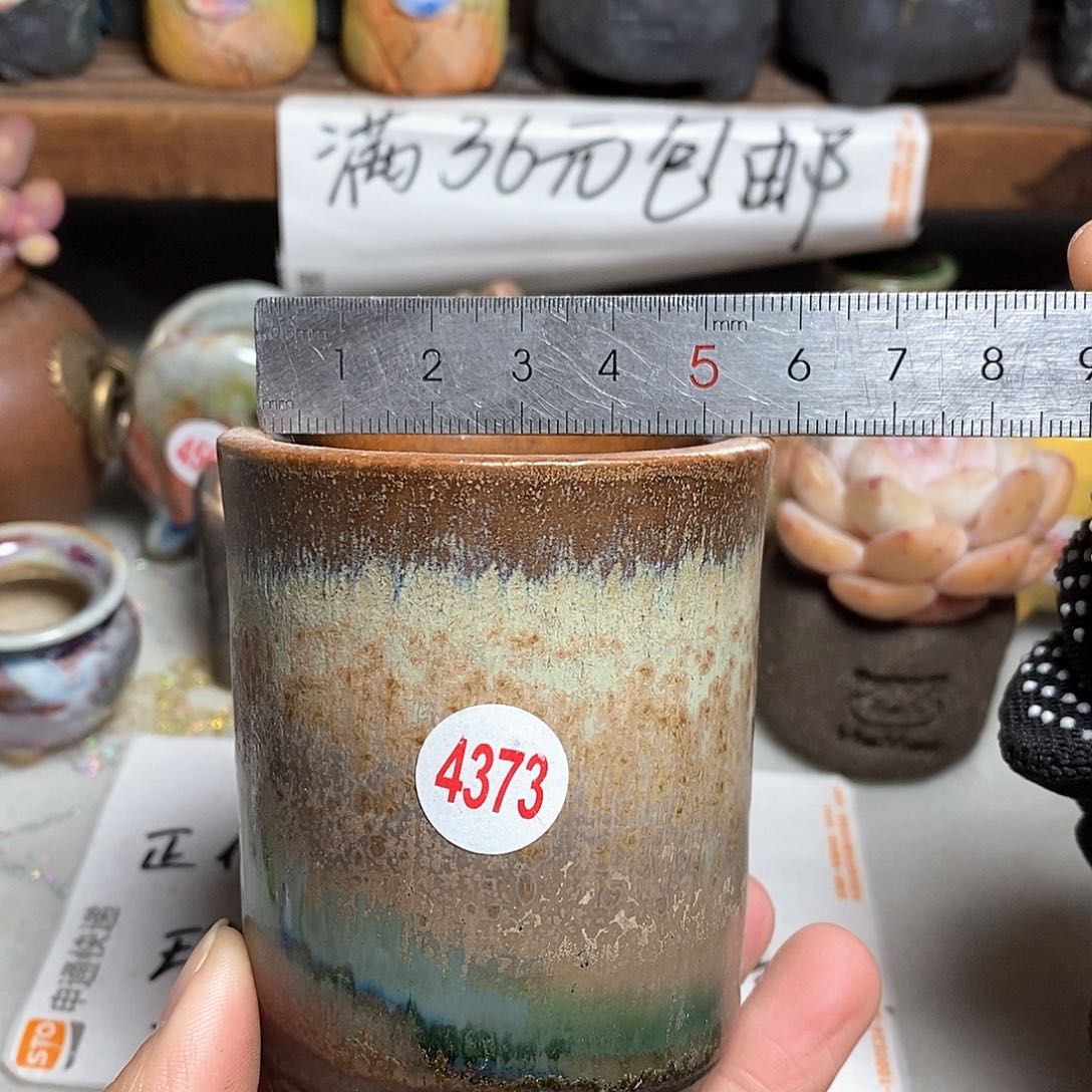 红陶拍5送一个小