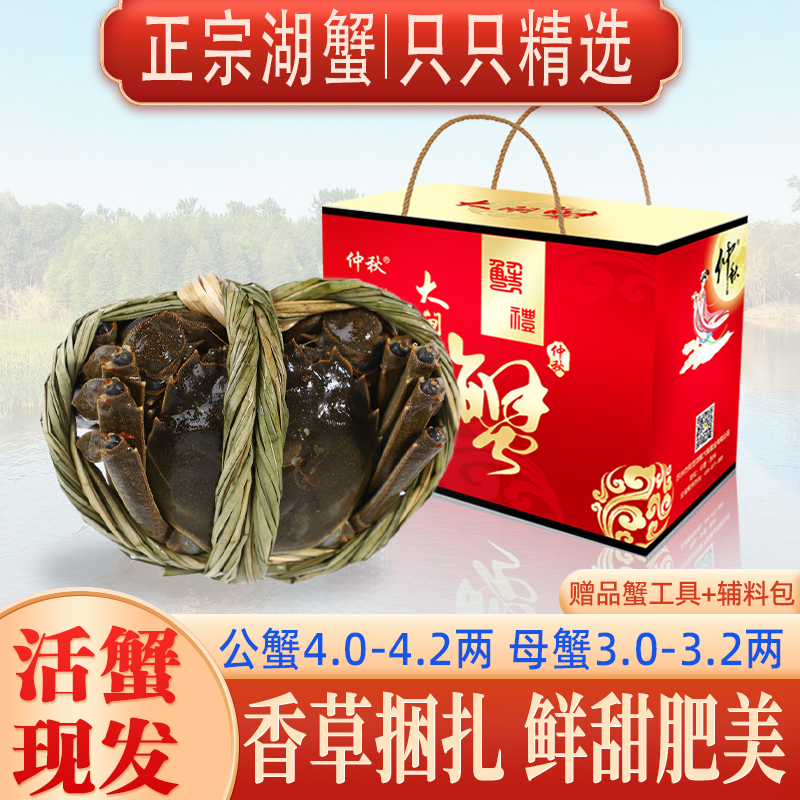 【活蟹】公蟹4.0-4.2两母蟹3.0-3.2两买4只送2只大闸蟹泰州溱湖簖蟹